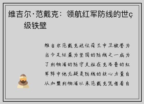 维吉尔·范戴克：领航红军防线的世界级铁壁