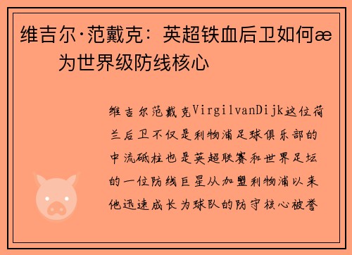 维吉尔·范戴克：英超铁血后卫如何成为世界级防线核心